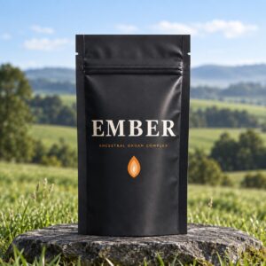Original black Ember Ancestral Organ Complex pouch on stone with a green outdoor landscape