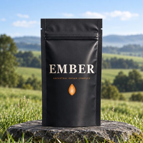 Original black Ember Ancestral Organ Complex pouch on stone with a green outdoor landscape